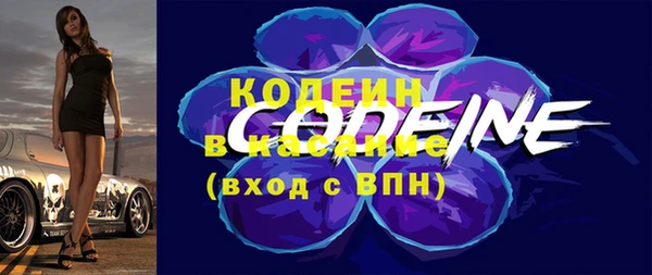 прущие грибы Горнозаводск