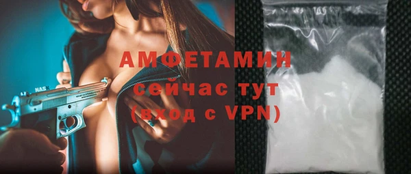 PSILOCYBIN Горняк