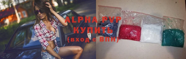 PSILOCYBIN Горняк