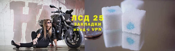 спиды Гусев