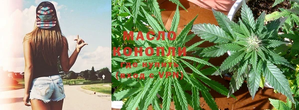 PSILOCYBIN Горняк
