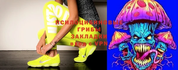 PSILOCYBIN Горняк