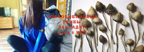 прущая мука Гусиноозёрск