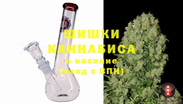 PSILOCYBIN Горняк