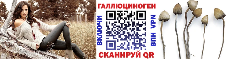 Псилоцибиновые грибы ЛСД  Купить  Шелехов 